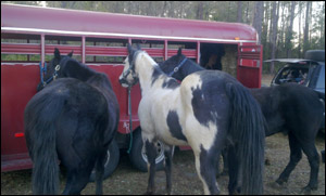 boys ready to ride