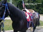 JULY 4TH PARADE