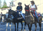 HORSE TRADING DAYS 2011
