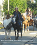 HORSE TRADING DAYS 2011