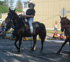 HORSE TRADING DAYS 2011