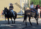 HORSE TRADING DAYS 2011