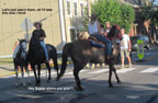 HORSE TRADING DAYS 2011