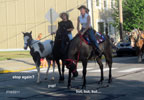 HORSE TRADING DAYS 2011