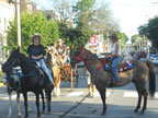 HORSE TRADING DAYS 2011